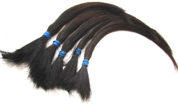 元祖漆刷毛ヘアドネ－ション　日本の国宝をあなたの髪で守ろう　